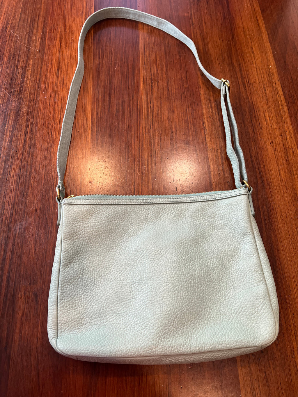 Fossil Crossbody Bag