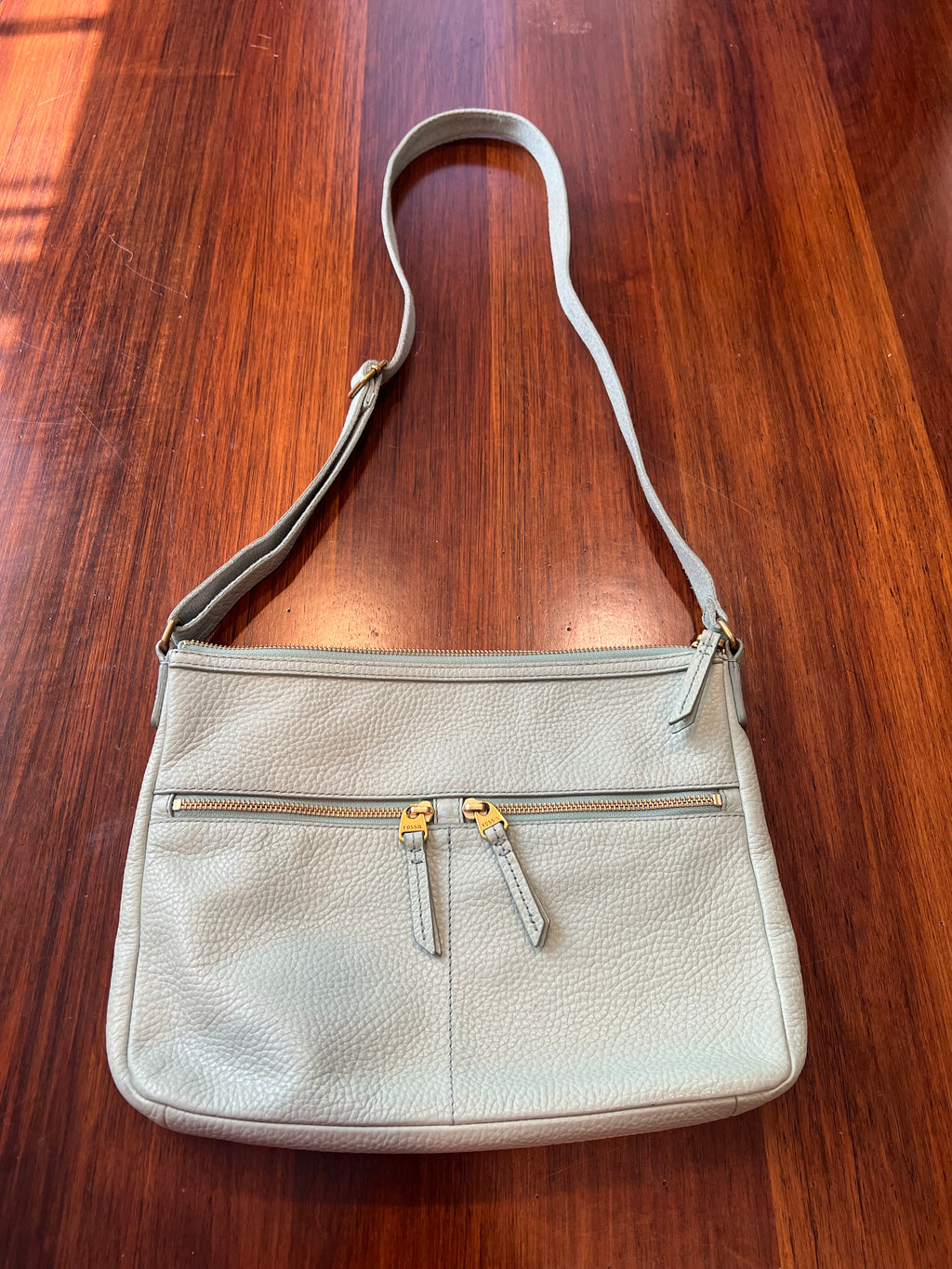 Fossil Crossbody Bag