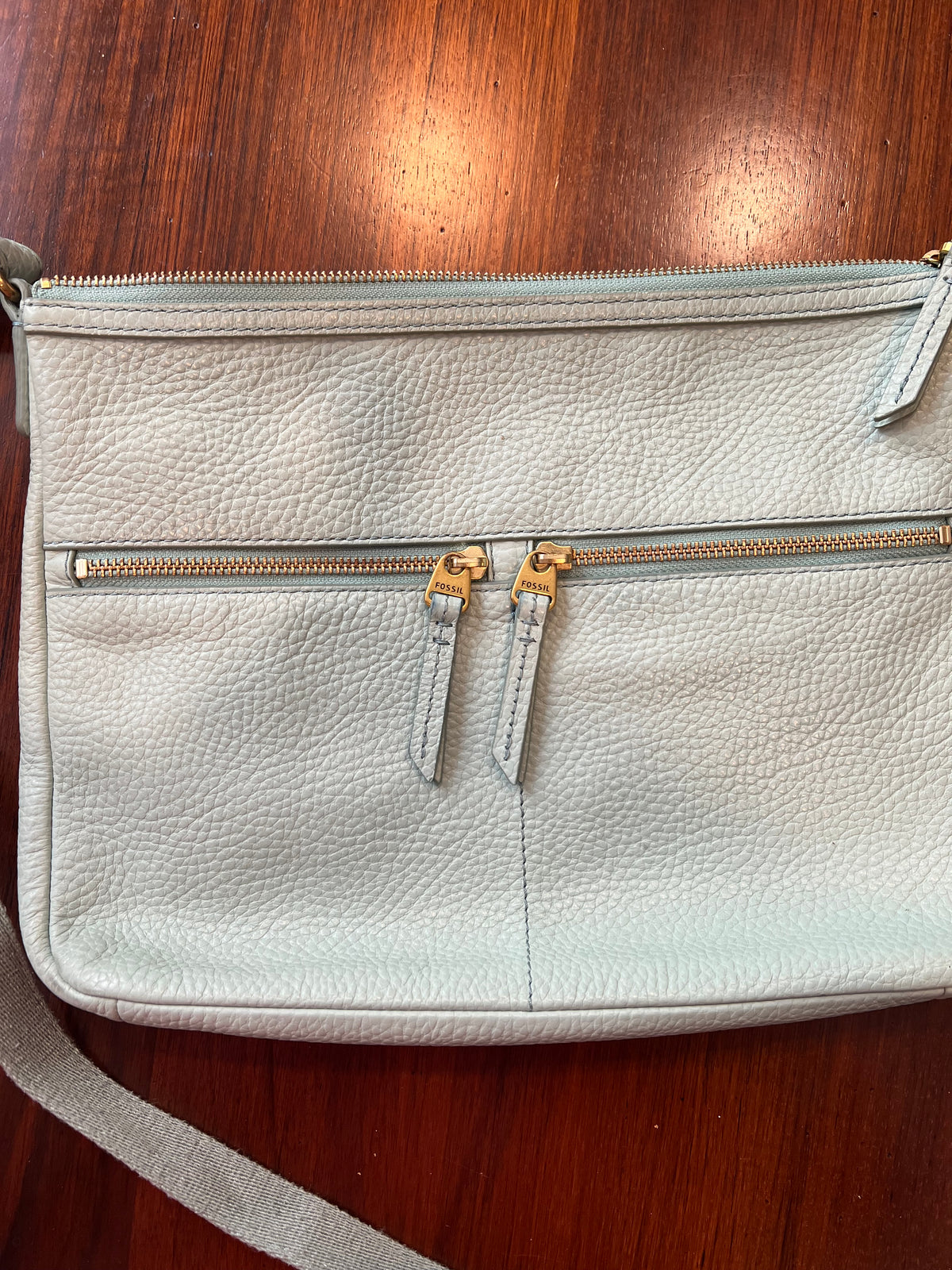 Fossil Crossbody Bag