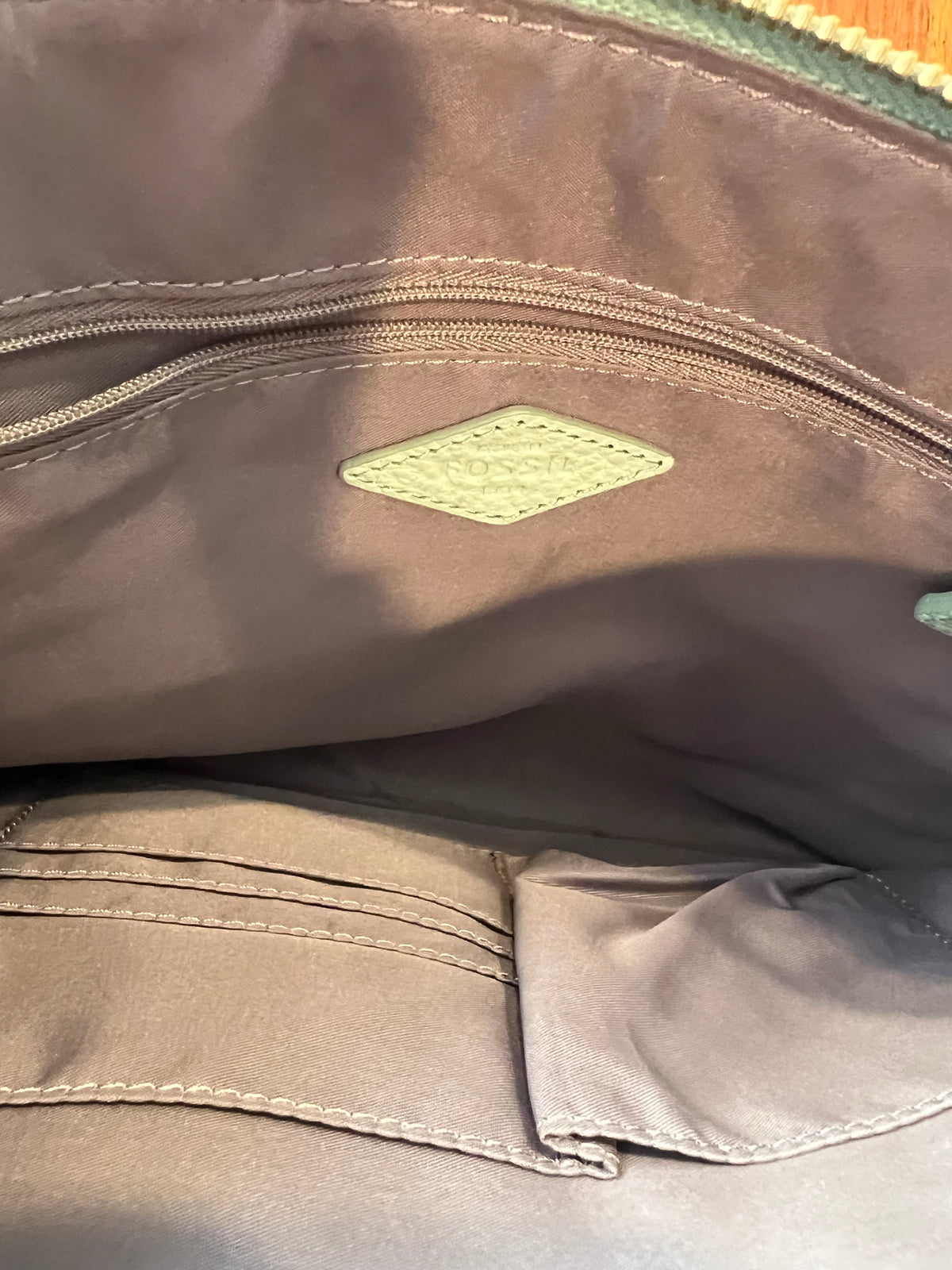 Fossil Crossbody Bag