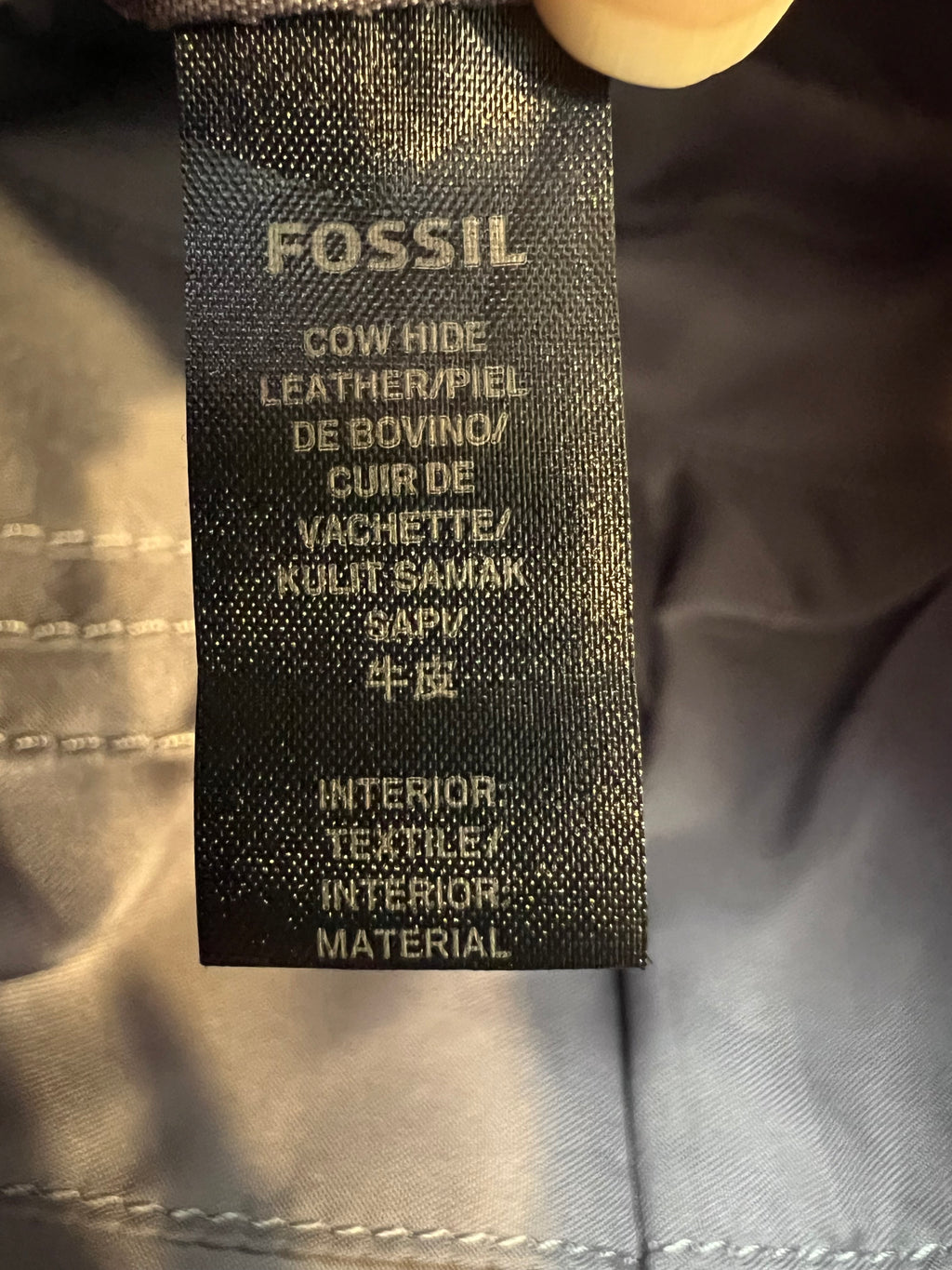 Fossil Crossbody Bag